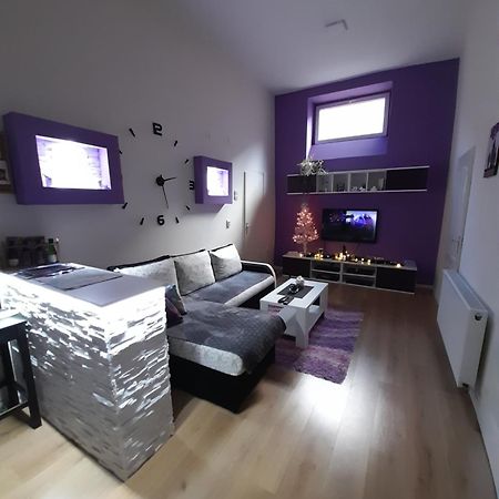 Apartman Lela Vrsac Exterior foto