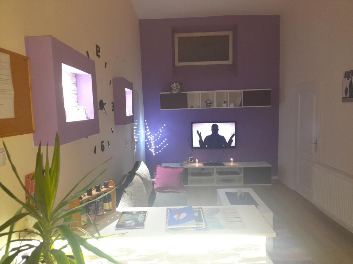 Apartman Lela Vrsac Exterior foto