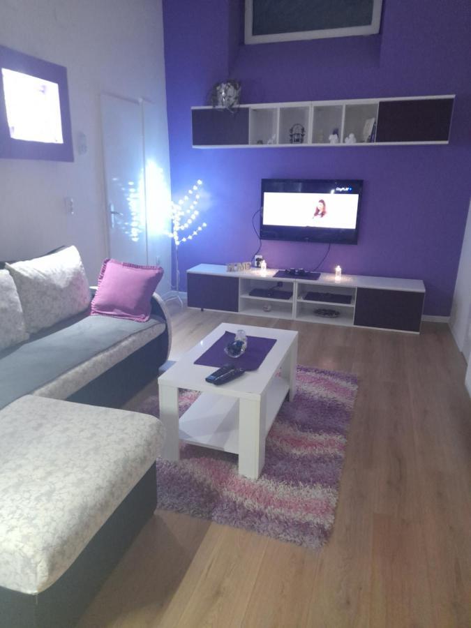 Apartman Lela Vrsac Exterior foto