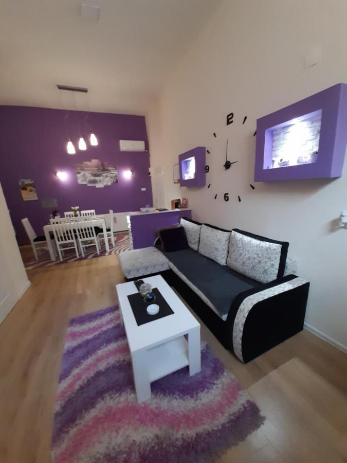 Apartman Lela Vrsac Exterior foto