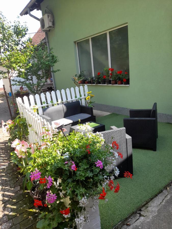 Apartman Lela Vrsac Exterior foto